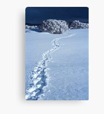 Footprints in Snow Canvas Print