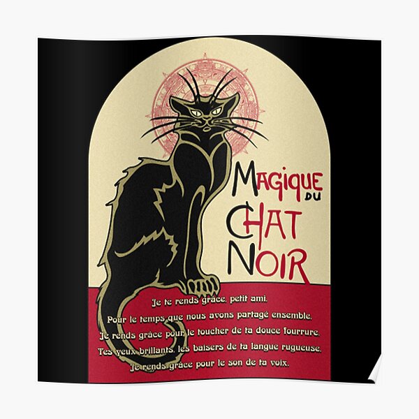 Chat Noir Posters For Sale Redbubble