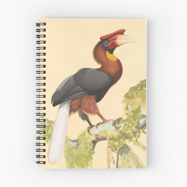 Item preview, Majestic Hornbill with Huge Beak designed and sold by Jeepney Projects.