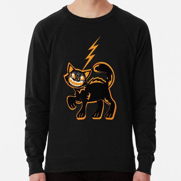 Lightning Cat Sweatshirts Hoodies for Sale Redbubble