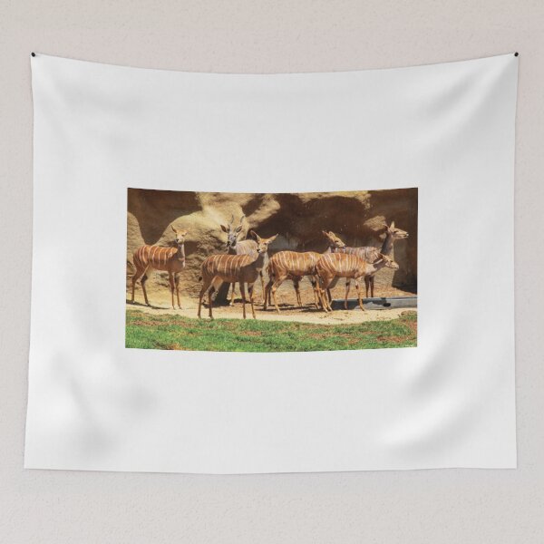 Item preview, Animals T-ShirtNyala Antelopes T-Shirt designed and sold by ElizabethVi.