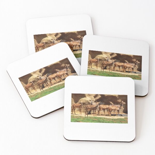 Item preview, Animals T-ShirtNyala Antelopes T-Shirt designed and sold by ElizabethVi.