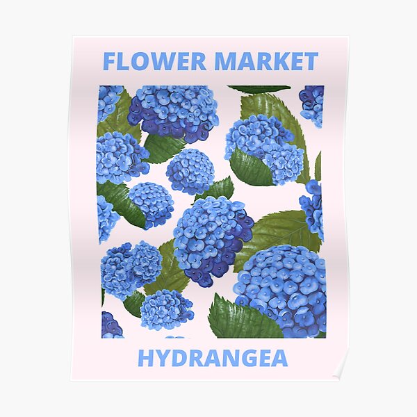 Vintage Blue Hydrangea Flower Market Poster