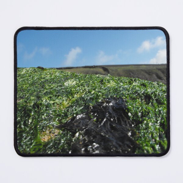 Item preview, A  Seaweed Covered Rock designed and sold by MakeAMomentGift.