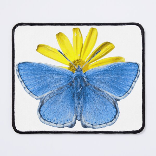 Item preview, Adonis Butterfly  designed and sold by DawnOTheShed.