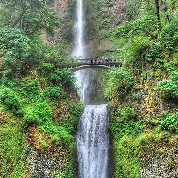 Artwork thumbnail, Multnomah Falls by RandyDyer