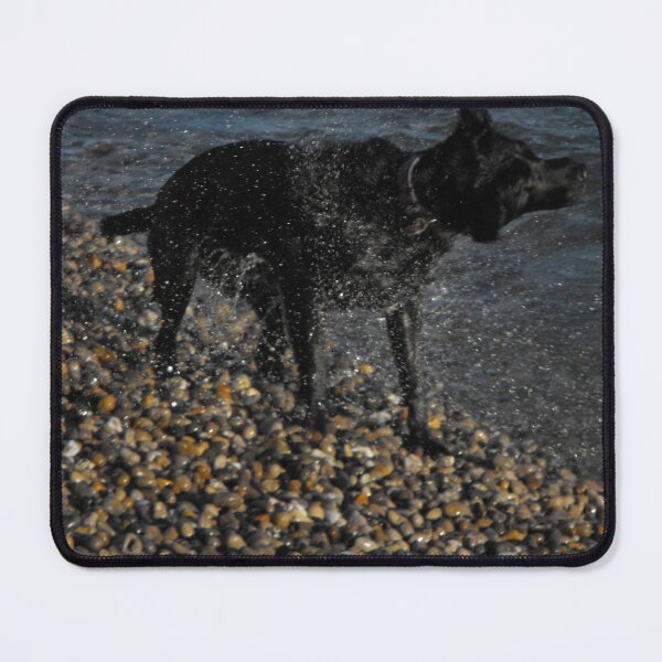 Item preview, Dog Shaking It Off designed and sold by MakeAMomentGift.