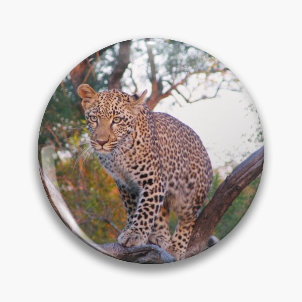 Item preview, Leopard in a Tree designed and sold by vonJohnstonArt.