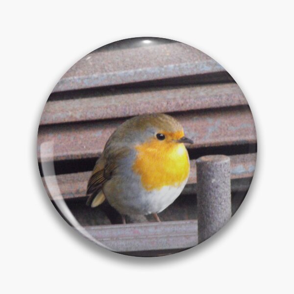 Item preview, A Little Robin Posing In An Industrial Setting designed and sold by MakeAMomentGift.