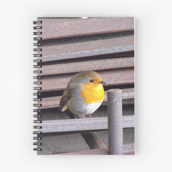Item preview, A Little Robin Posing In An Industrial Setting  designed and sold by MakeAMomentGift.
