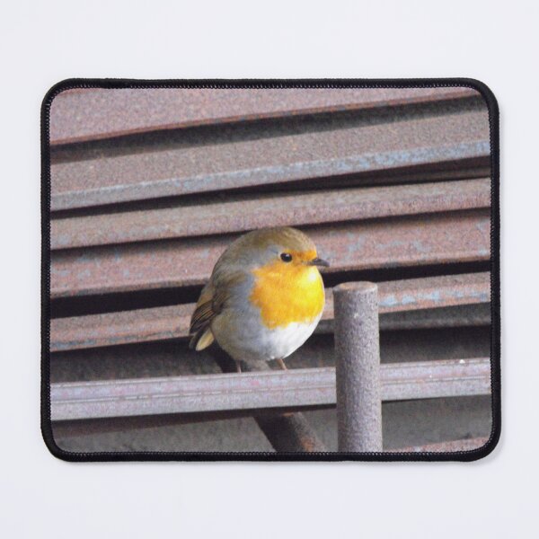 Item preview, A Little Robin Posing In An Industrial Setting designed and sold by MakeAMomentGift.