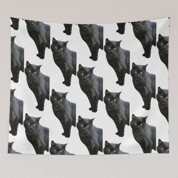 Item preview, Staring cat #2.2 designed and sold by Mmark94.