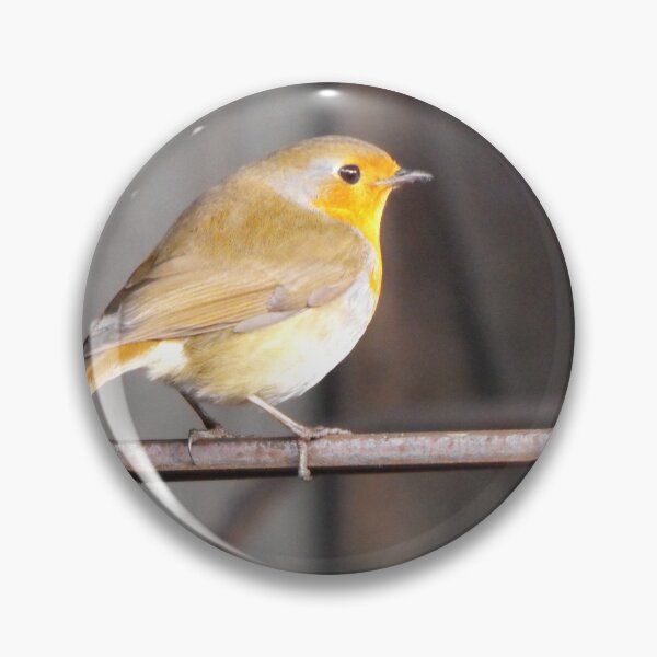 Item preview, Beautiful Little Robin designed and sold by MakeAMomentGift.