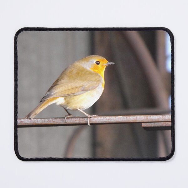 Item preview, Beautiful Little Robin designed and sold by MakeAMomentGift.