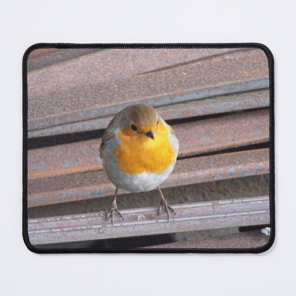 Item preview, A Little Robin designed and sold by MakeAMomentGift.