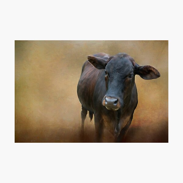 Item preview, Inquisitive! designed and sold by Sabvaningphotoart.
