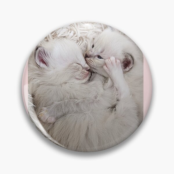 Item preview, Sweet ragdoll kittens kissing and cuddling in bed designed and sold by Fluffycat2020.