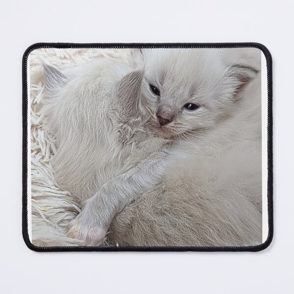 Item preview, Sweet ragdoll kittens kissing and cuddling in bed designed and sold by Fluffycat2020.