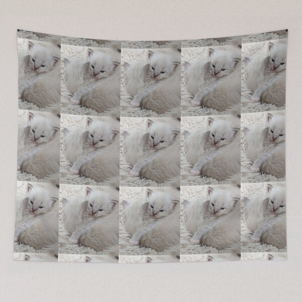 Item preview, Sweet ragdoll kittens kissing and cuddling in bed designed and sold by Fluffycat2020.