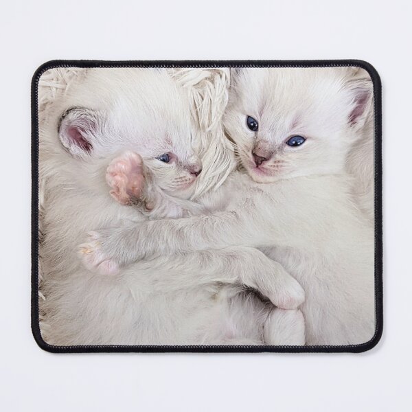 Item preview, Sweet ragdoll kittens kissing and cuddling in bed designed and sold by Fluffycat2020.