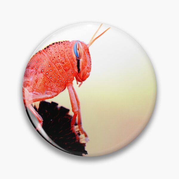 Item preview, Foto de mosquito con calidad de alta resolución. designed and sold by Allyouneed-2.