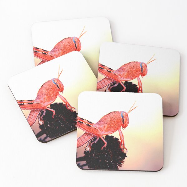 Item preview, Mosquito photo with high resolution quality designed and sold by Allyouneed-2.