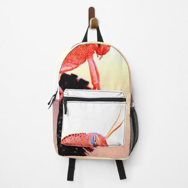 Item preview, Mosquito photo with high resolution quality designed and sold by Allyouneed-2.