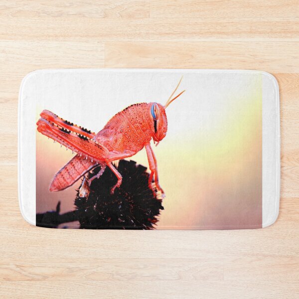 Item preview, Mosquito photo with high resolution quality designed and sold by Allyouneed-2.