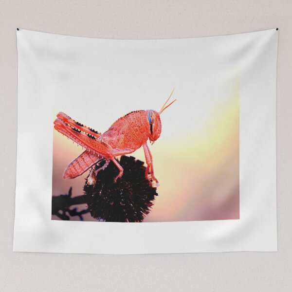 Item preview, Mosquito photo with high resolution quality designed and sold by Allyouneed-2.