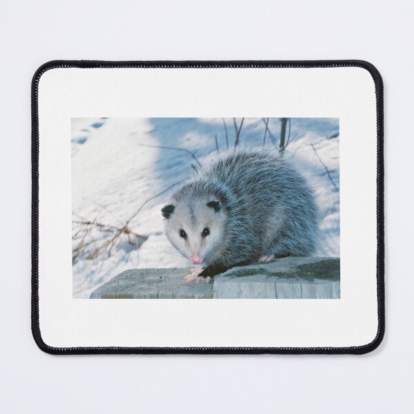 Item preview, Possum designed and sold by Al Mullen.
