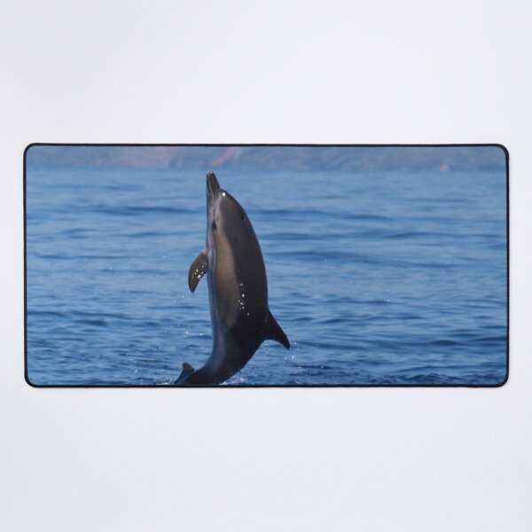 Item preview, Baby common dolphin Delphinus delphis jump designed and sold by Chloé Yzoard.