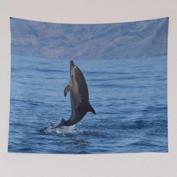 Item preview, Baby common dolphin Delphinus delphis jump designed and sold by Chloé Yzoard.