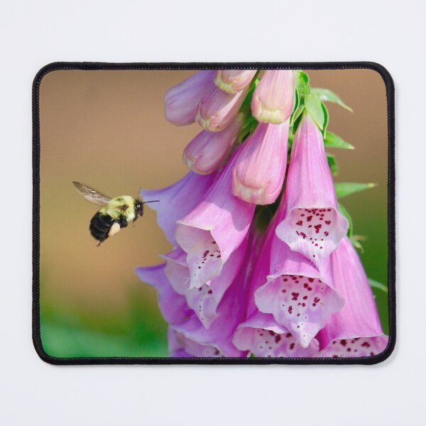 Item preview, Bumble Bee with a Pink Foxglove Flower designed and sold by KaitlynPaints.