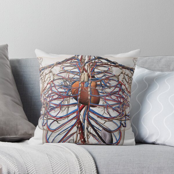 Item preview, STK700284H-Medical illustration of female breast arteries, veins and lymphatic system. designed and sold by StocktrekImages.