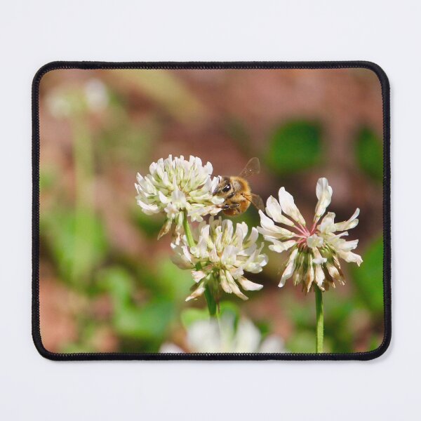Item preview, Honeybee on White Clover Flowers designed and sold by KaitlynPaints.