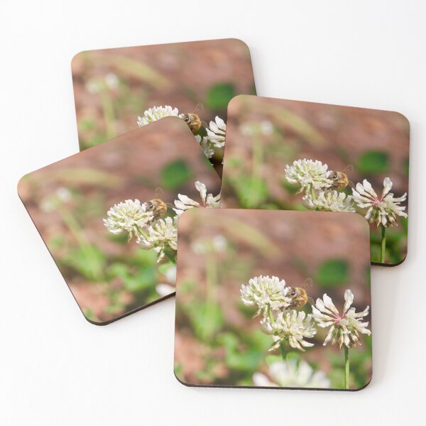 Item preview, Honeybee on White Clover Flowers designed and sold by KaitlynPaints.