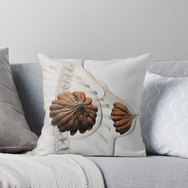 Item preview, Close-up of mammary glands in the female reproductive system. designed and sold by StocktrekImages.