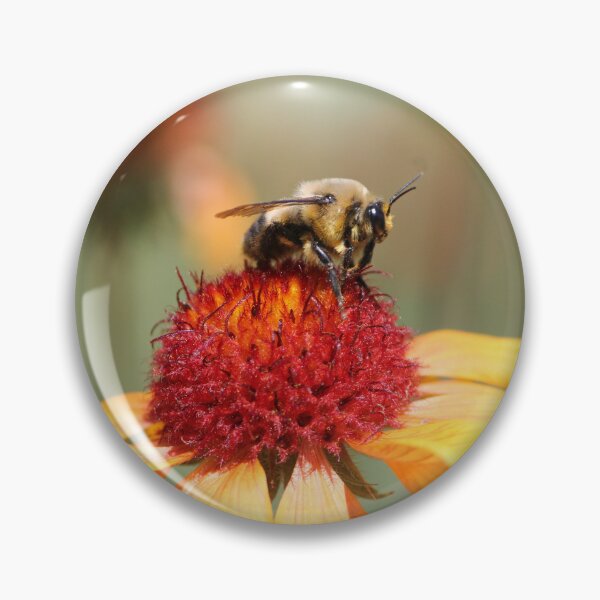 Item preview, Bumble Bee Sitting on a Yellow Flower designed and sold by KaitlynPaints.