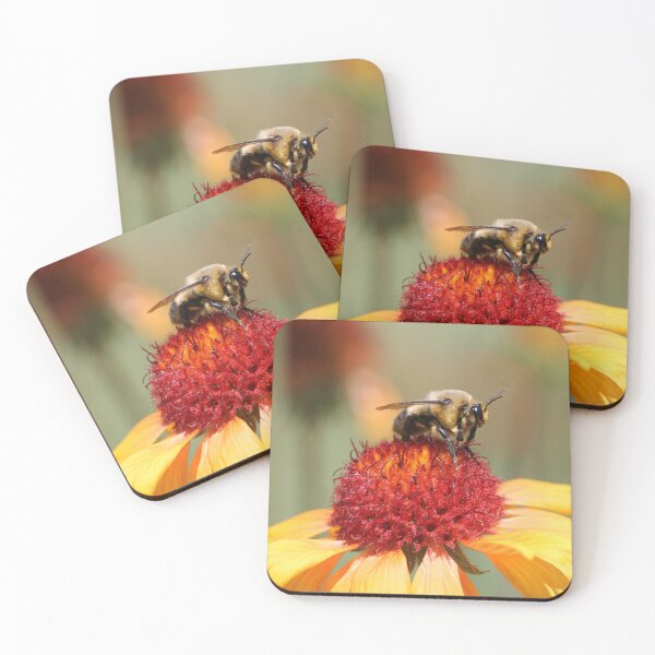 Item preview, Bumble Bee Sitting on a Yellow Flower designed and sold by KaitlynPaints.