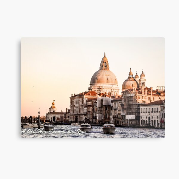  Metal Print