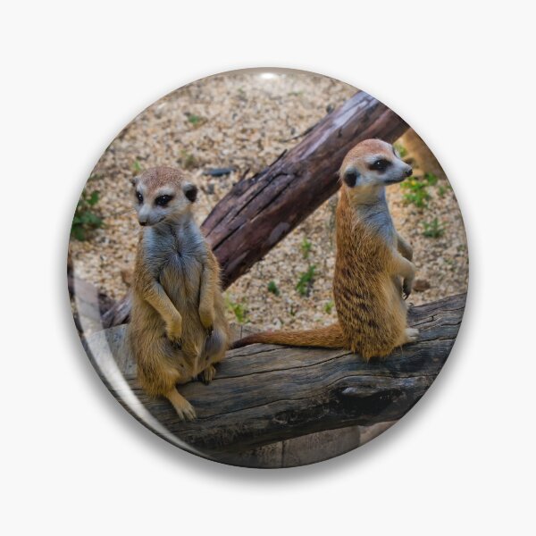 Item preview, Family Of Meercats At Ukumari Zoo, Pereira designed and sold by alabca.