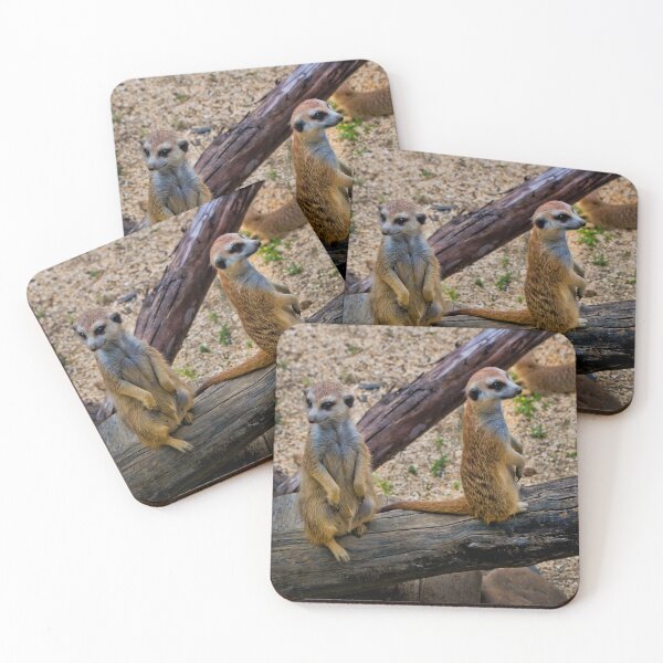 Item preview, Family Of Meercats At Ukumari Zoo, Pereira designed and sold by alabca.
