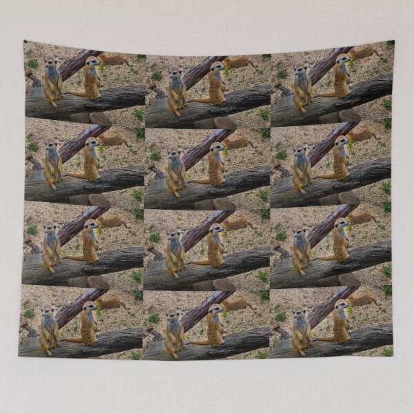 Item preview, Family Of Meercats At Ukumari Zoo, Pereira designed and sold by alabca.