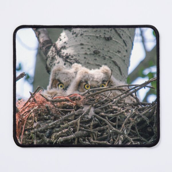 Item preview, Great Horned Owls (Babies) designed and sold by Jerry Walter.