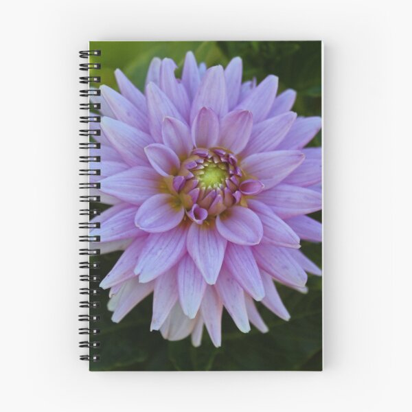 Item preview, Delectable Dahlia I designed and sold by Michiale.