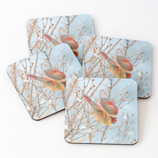 Item preview, Northern Cardinal Flying Photograph designed and sold by alpendesigns.