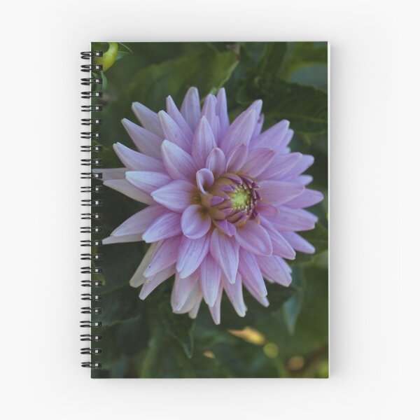Item preview, Delectable Dahlia II designed and sold by Michiale.