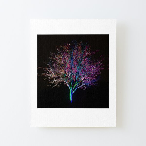 Rainbow Fairy Tree Canvas Mounted Print