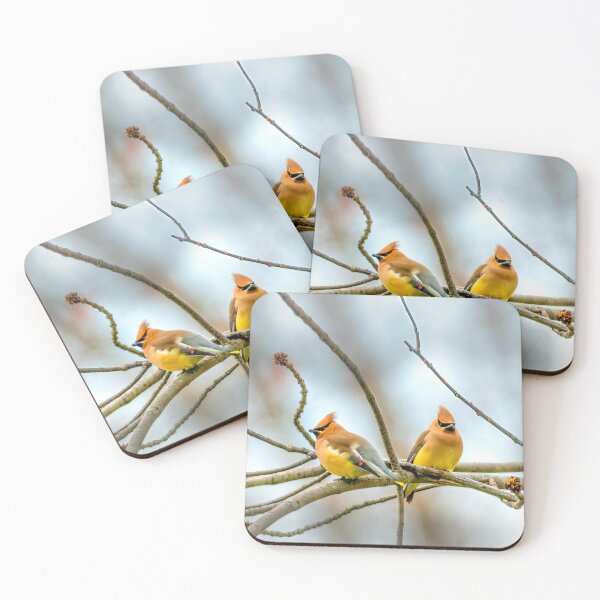 Item preview, Cedar Waxwing Photograph designed and sold by alpendesigns.