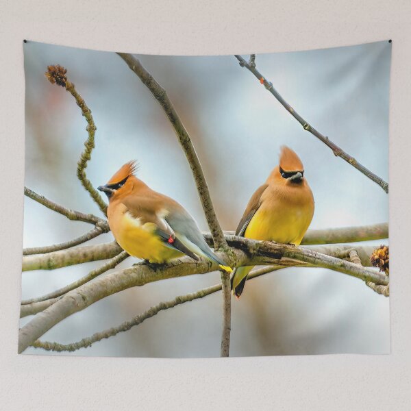 Item preview, Cedar Waxwing Photograph designed and sold by alpendesigns.
